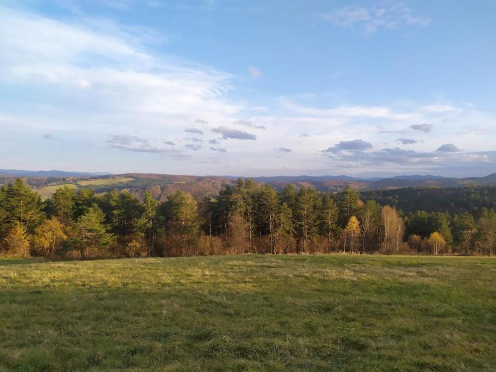 Domek Kozacki Łukowe Exteriör bild