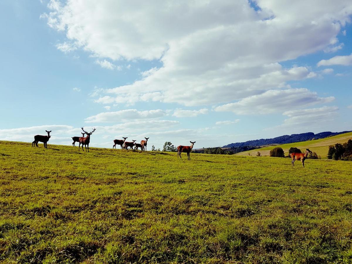 Domek Kozacki Łukowe Exteriör bild
